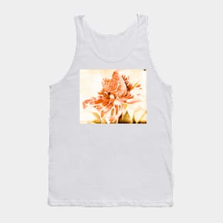 Fadedwins Tank Top